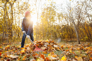A young guy collects fallen leaves in a forest or park. A male volunteer is cleaning. Autumn...