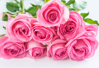 Wedding or birthday greeting card; Bunch of pink rose flowers on the white background; close up, selective focus