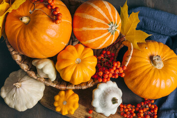 Autumn composition for Thanksgiving Day, still life background. Pumpkin harvest in basket, vegetables, autumn leaves, red berries on wooden table. Fall decoration design. Close up, top view, flat lay.