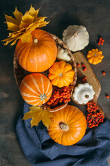 Autumn composition for Thanksgiving Day, still life background. Pumpkin harvest in basket, vegetables, patissons, autumn leaves, red berries on wooden table. Fall decoration design. Top view, flat lay