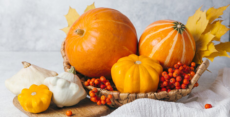 Autumn composition for Thanksgiving Day, still life background. Pumpkin harvest in basket, vegetables, patissons, autumn leaves, red berries on white kitchen table. Fall decoration design. Banner.