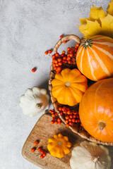 Autumn composition for Thanksgiving Day, still life background with empty copy space. Pumpkin harvest in basket, patissons, autumn leaves, red berries on white table. Fall design. Flat lay, top view.