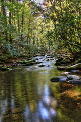 Mountain stream in the Smoky Mountains National Park.