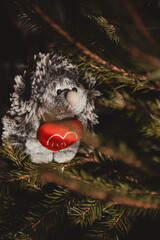 Mascot Jeżyk with a red heart sitting between the branches of the Christmas tree (selective focus) © Jakub