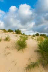 Fototapeta na wymiar Valdevaqueros dune in Tarifa, Cadiz, Spain