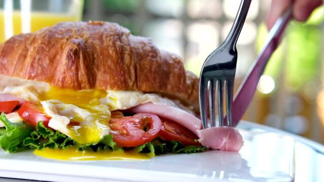 Croissant with prosciutto, poached egg, jamon cheese, avocado, microgin and cherry tomatoes. Mediterranean appetizer. Breakfast concept.