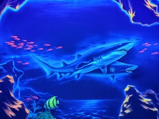 shark