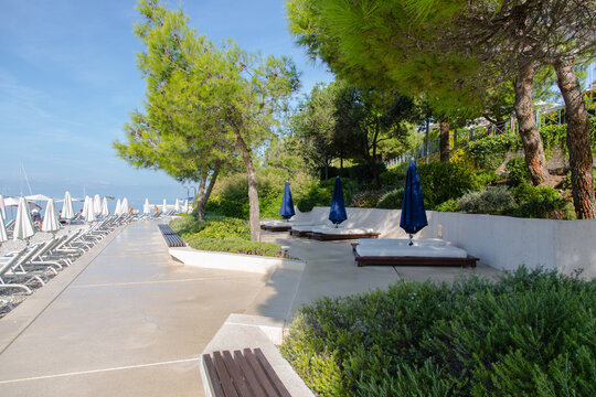 Garden design and landscaping: Comfortable sun loungers and shady parasols at a a pine tree seamed promenade with elaborate nature stone paving slabs at a pebbles beach, Rovinj, Croatia