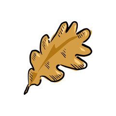 autumn leaf drawing vector