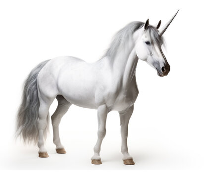 Unicorn isolated on white background. Generative AI image illustration. Beautiful fairy tales creatures concept