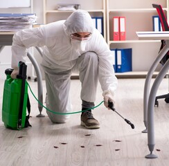 Professional contractor doing pest control at office - obrazy, fototapety, plakaty