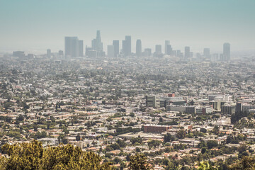 Fototapeta na wymiar Los Angeles skyline from Griffith Park in the summertime
