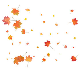 Obraz na płótnie Canvas Red, orange, brown and yellow autumn leaves.