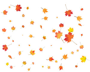 Red, orange, brown and yellow autumn leaves.