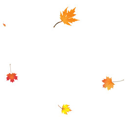 Autumn bright maple leaves background.