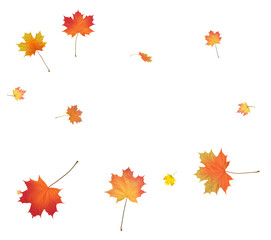 Obraz premium Background with golden autumn leaves