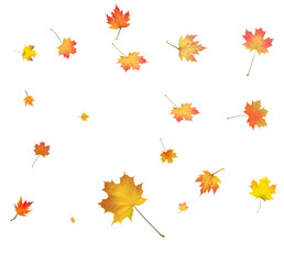 Background with golden autumn leaves