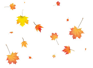 Fototapeta premium Background with golden autumn leaves