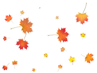 Background with golden autumn leaves