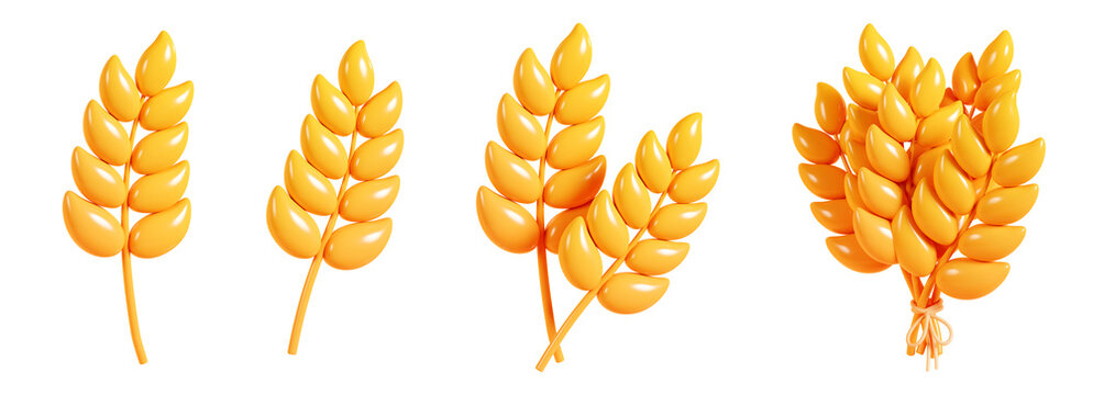 Wheat ear 3d render illustration set. Autumn farm harvest of barley with grain for seasonal design.