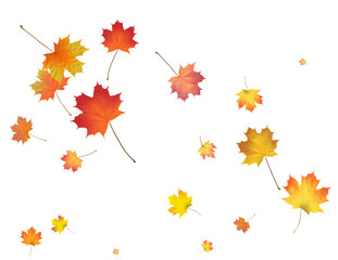 Background with golden autumn leaves