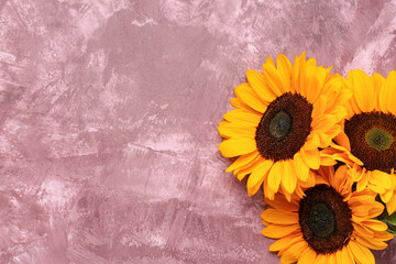 Beautiful sunflowers on grunge pink background
