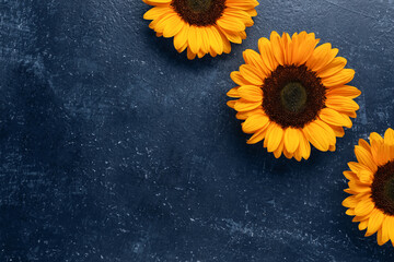 Beautiful sunflowers on grunge blue background