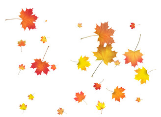 Fototapeta premium Pattern with Colorful Autumn leaves.