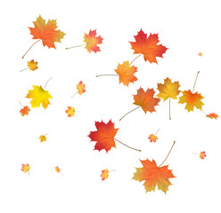 Pattern with Colorful Autumn leaves.