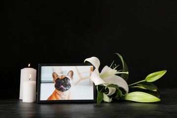 Frame with picture of dog, burning candles and lily flowers on dark background. Pet funeral - obrazy, fototapety, plakaty