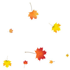 Pattern with Colorful Autumn leaves.