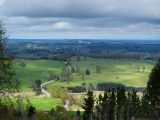 Obraz premium landscape with grass and blue sky