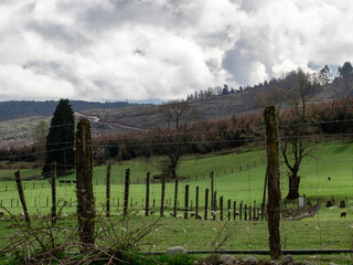 Obraz premium landscape in the mountains