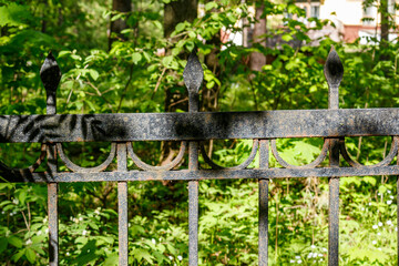 Metal fence with sharp peaks in the old manor park