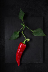red hot chili pepper on a branch with leaves lies on a black stone cutting board. view from above. simple artistic dark photo