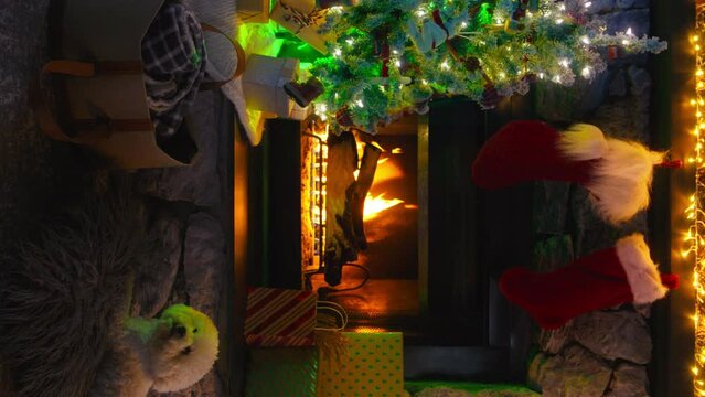 Vertical oriented Xmas background mobile content 4K. Funny dog near Fireplace with burning woods. Cinematic shot on RED camera footage. Christmas Tree decorated with glowing light garland and gifts
