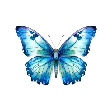 Light blue butterfly isolated on white background in watercolor style.