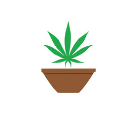 Marijuana Cannabis pot plant illustration vector PNG image