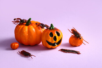 Halloween composition with candy bugs and pumpkins on lilac background