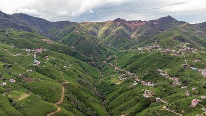 Fototapeta premium plantation landscape