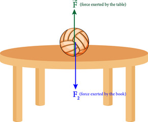 Newton's Third Law of Motion: Action Reaction Pairs . Vector illustration