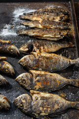 fresh fish on the grill