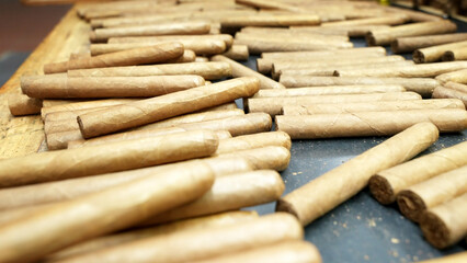 Close up many just rolled unlabeled handmade cigars laid in a stack and randomly scattered on a wooden table. The factory for the production of the best cigars in the world
