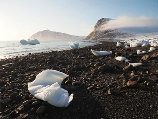 beach in Grise Fiord, Ellesmere Island, Nunavut : Arctic in Canada © flyingwalrus