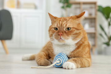 Cute ginger cat playing with sisal toy mouse at home - obrazy, fototapety, plakaty