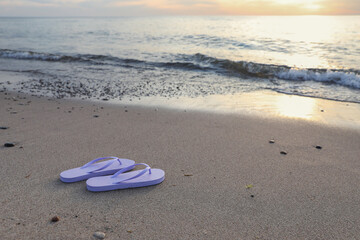 Stylish lilac flip flops on sand near sea. Space for text