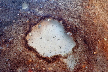 Washed coffee in the water.