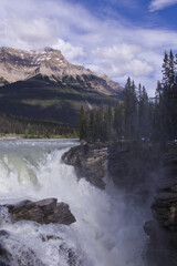 Fototapeta na wymiar Athabasca Falls in the Spring