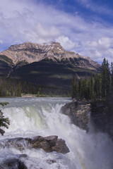 Fototapeta na wymiar Athabasca Falls in the Spring