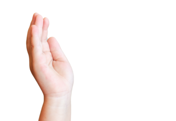 Child's hand holding something isolated on white background with clipping path. Closeup of arm with one side view